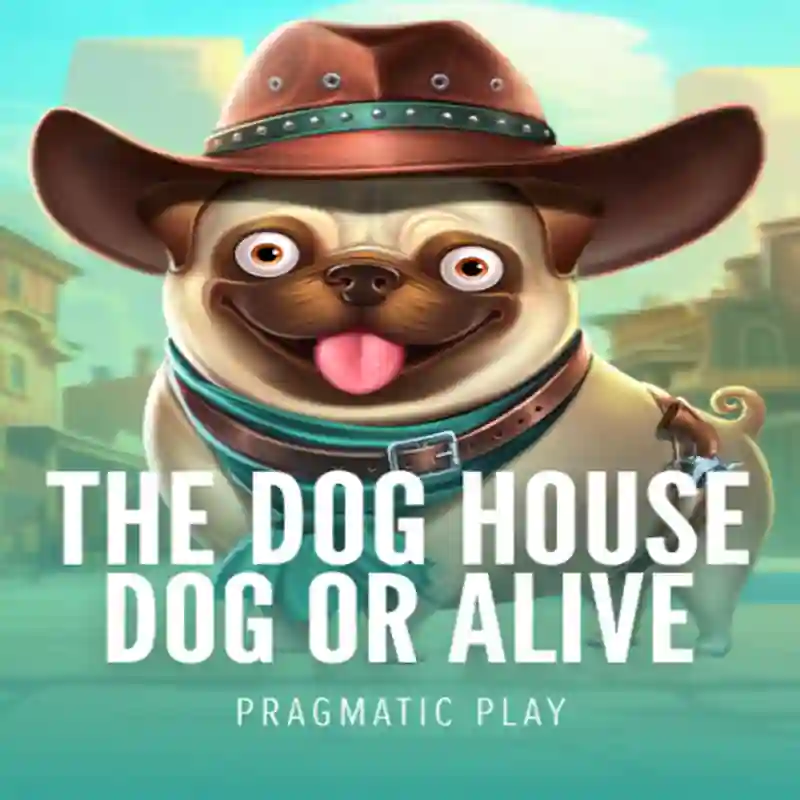 Dog House Dog & Alive casino game